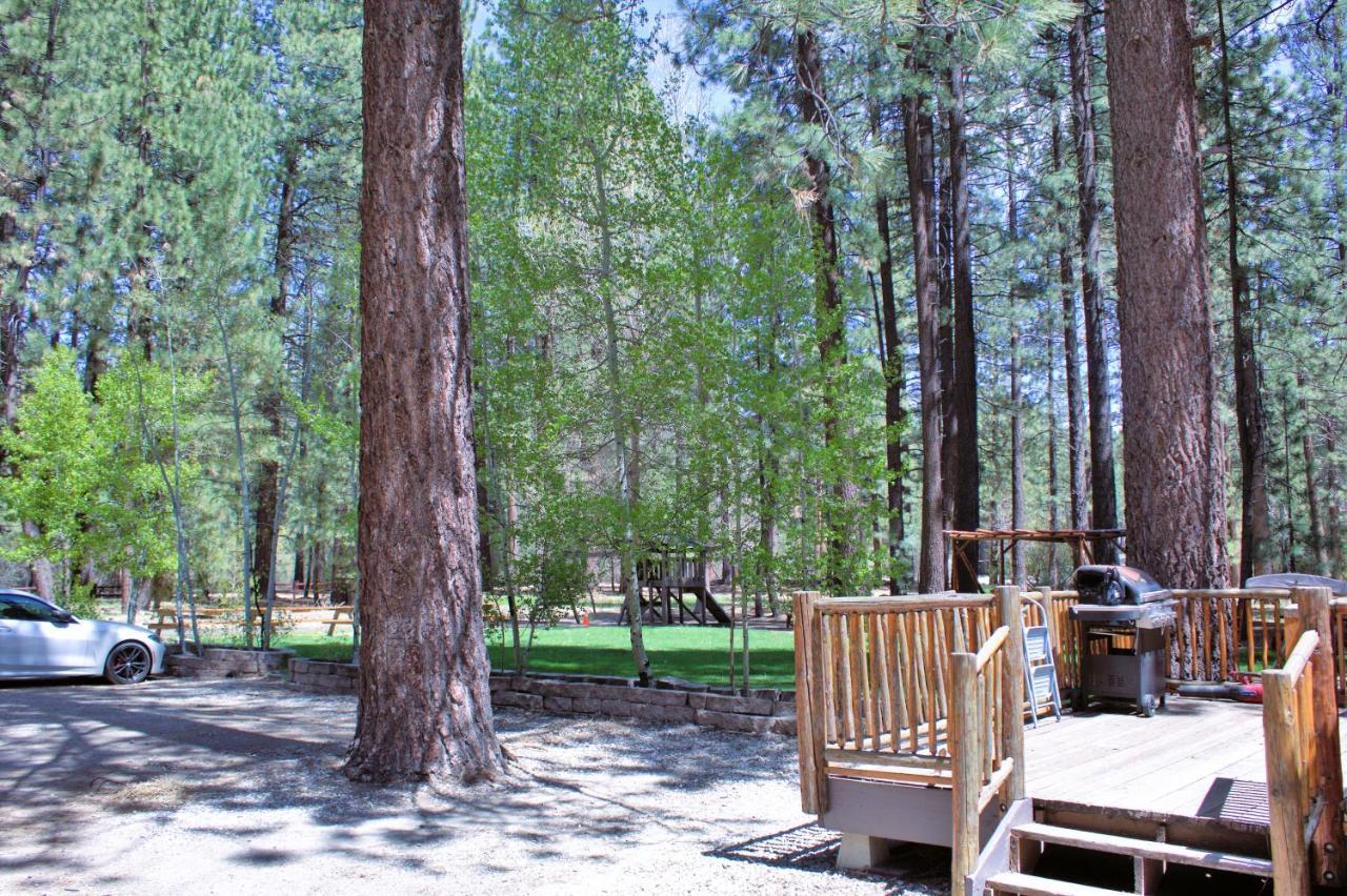 Lodge Goldmine